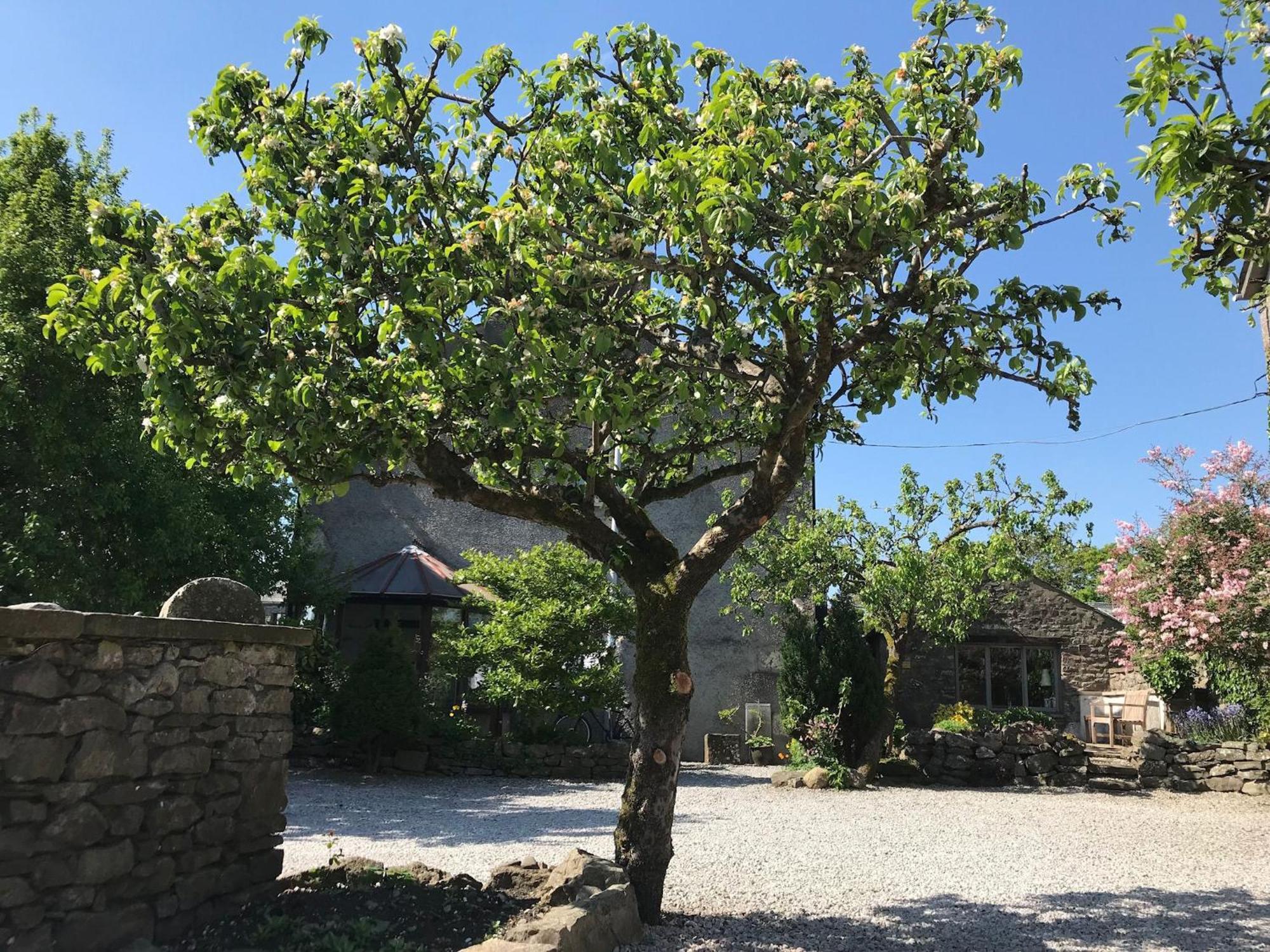 הוילה Crooklands Pear Tree Barn מראה חיצוני תמונה